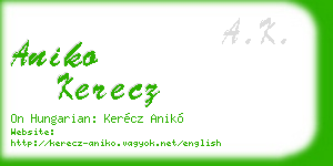 aniko kerecz business card